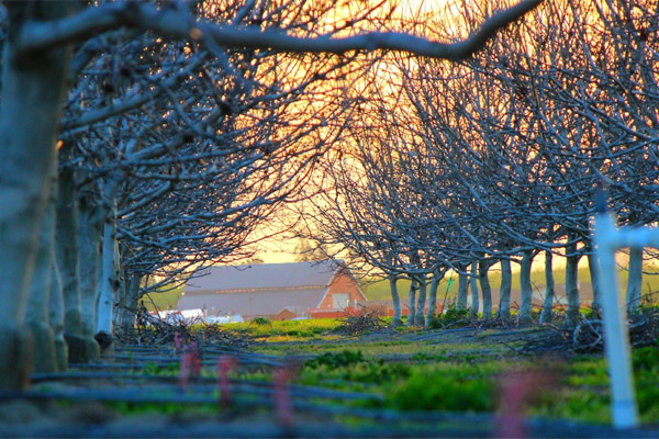 求问短信轰炸服务