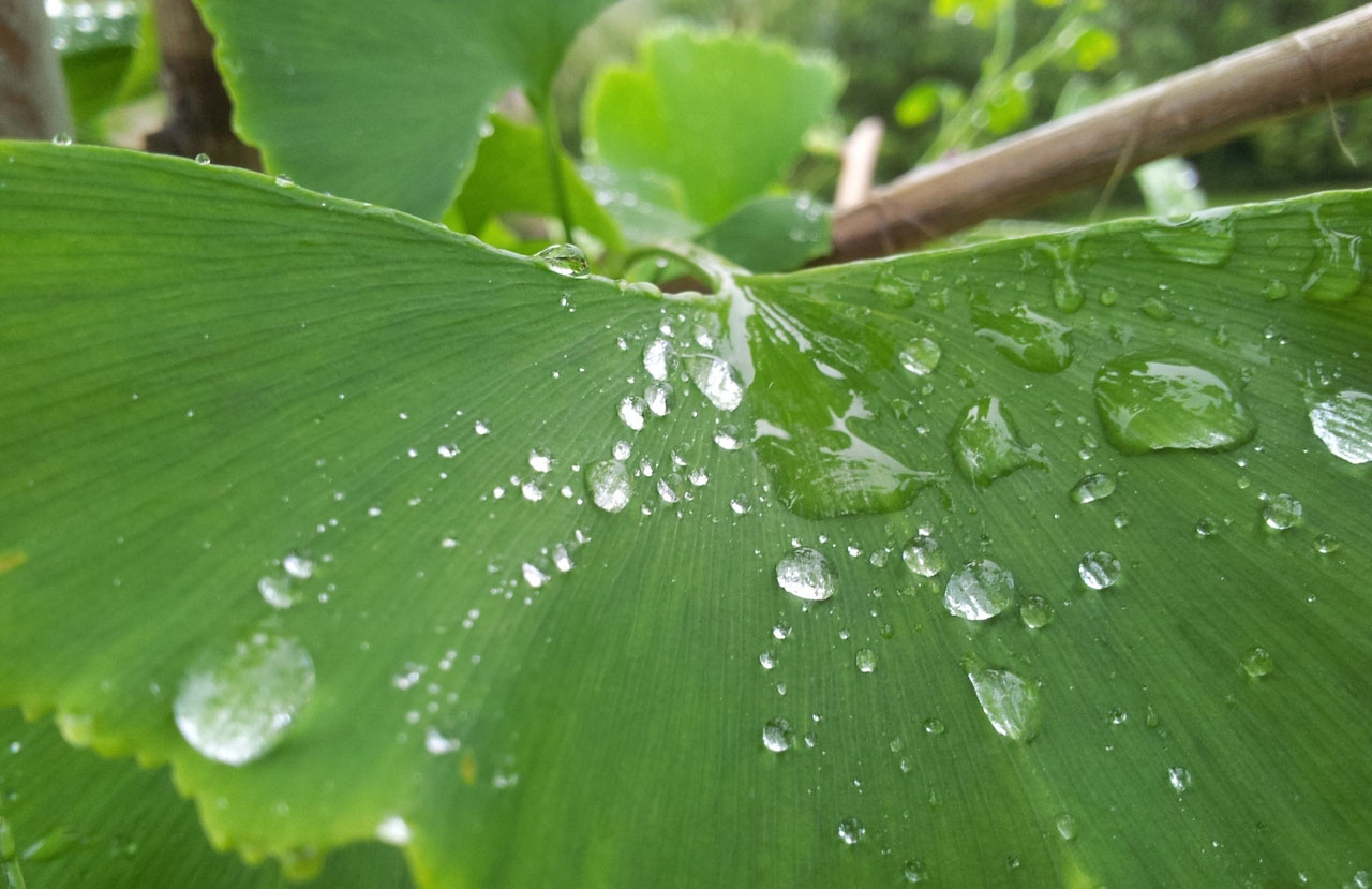 小七短信在线网页轰炸
